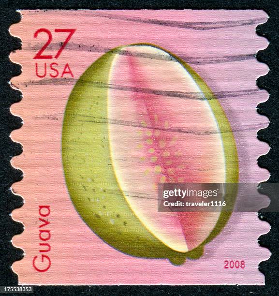 guave-briefmarke - guava fruit stock-fotos und bilder