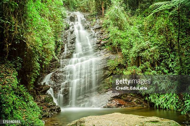 tropical waterfall - mata atlantica stock pictures, royalty-free photos & images