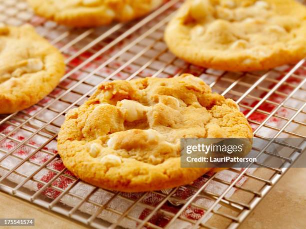 macadamia nut and white chocolate cookies - macadamia nut 個照片及圖片檔