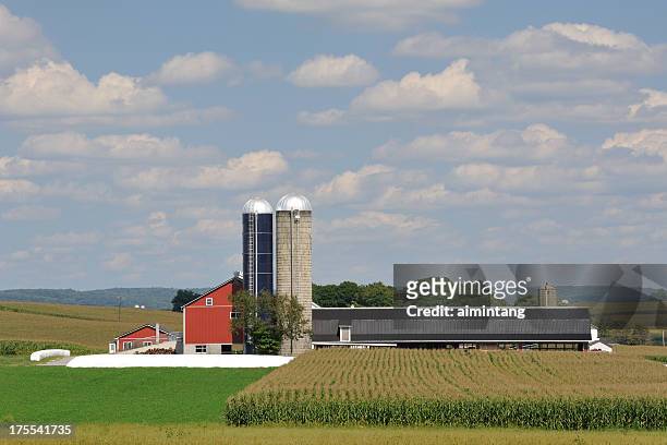 amish farm in pennsylvania - lancaster stock pictures, royalty-free photos & images