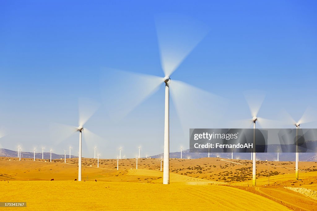 Wind farm long exposure