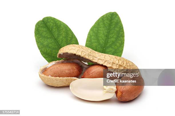 shelled peanuts and leaves - shelled peanuts stock pictures, royalty-free photos & images