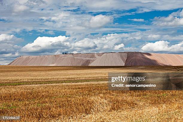 Potash Tree 77 Potash Fields Stock Photos, High-Res Pictures, and Images - Getty Images