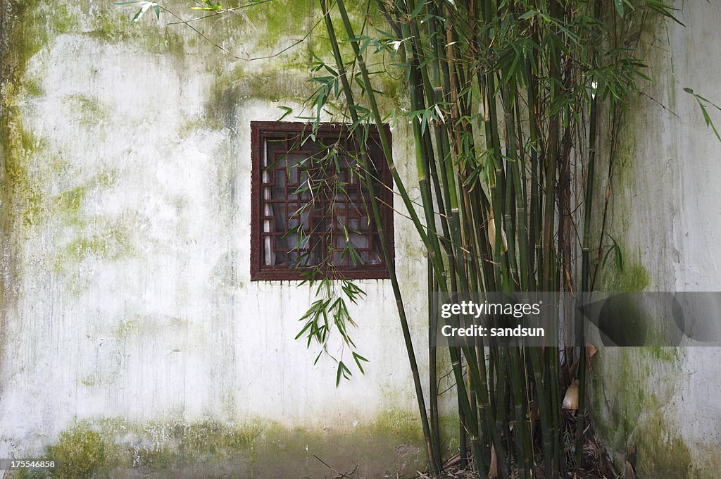 Chinese garden