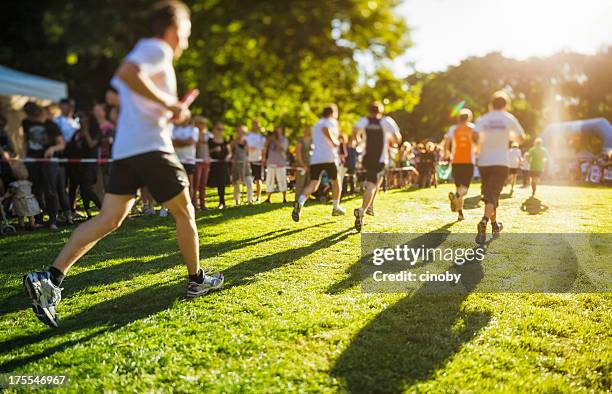 sunny race - stafett bildbanksfoton och bilder