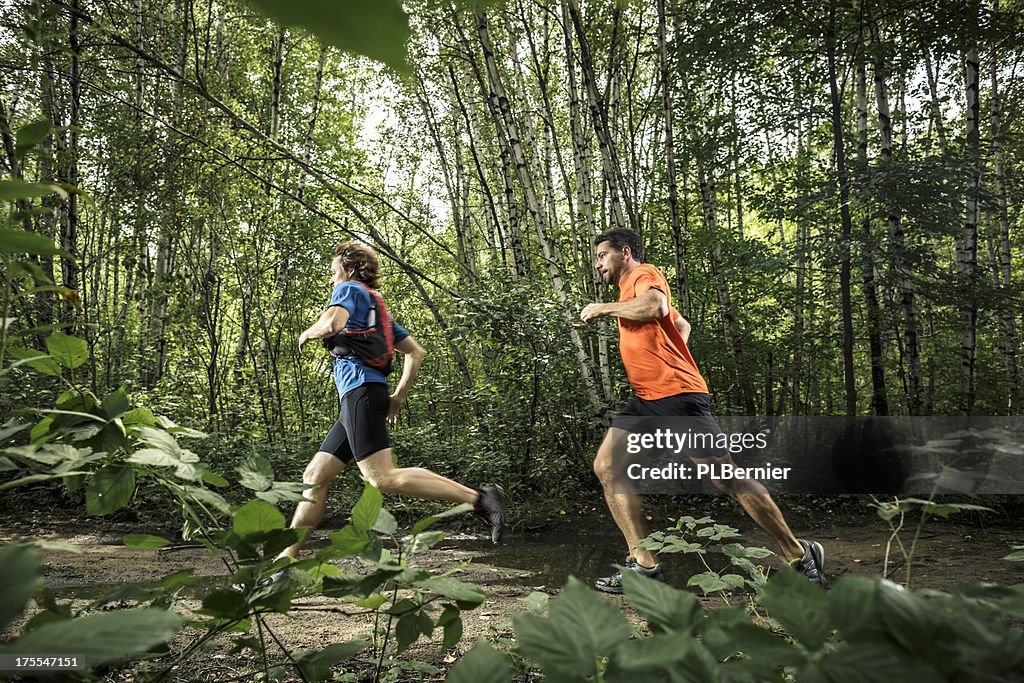 Trail-Läufer Training