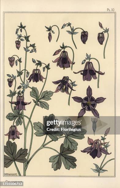 Columbine, Aquilegia vulgaris, flower parts. Lithograph by Verneuil with pochoir handcoloring from Eugene Grasset's “Plants and their Application to...