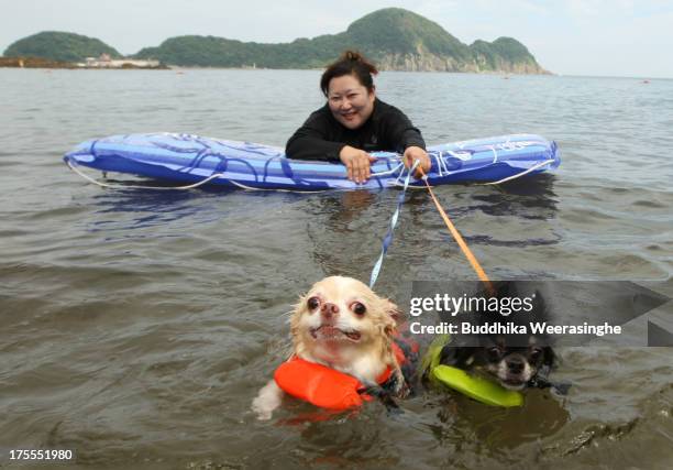 Woman and her two dogs named Yoru and Hinaka bath in the water at Takeno Beach on August 4, 2013 in Toyooka, Japan. This beach is open for dogs and...