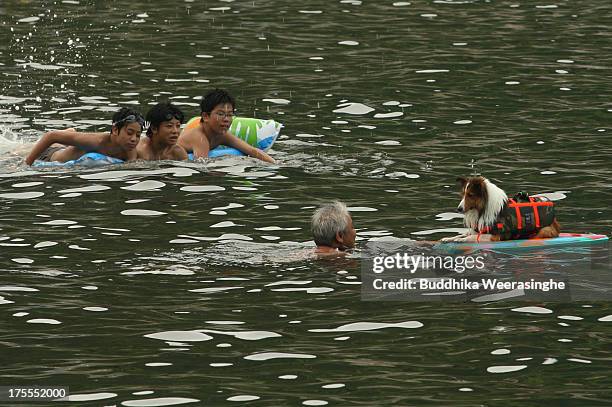One-year-old pet dog named Ciel wears life jacket and bathes with it's owner at Takeno Beach on August 4, 2013 in Toyooka, Japan. This beach is open...