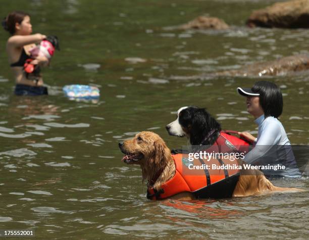 Two women bathe with their dogs at Takeno Beach on August 4, 2013 in Toyooka, Japan. This beach is open for dogs and their owners every summer...