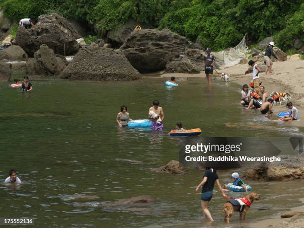 Japanese people and their pet dogs bath in the water at Takeno Beach on August 4, 2013 in Toyooka, Japan. This beach is open for dogs and their...