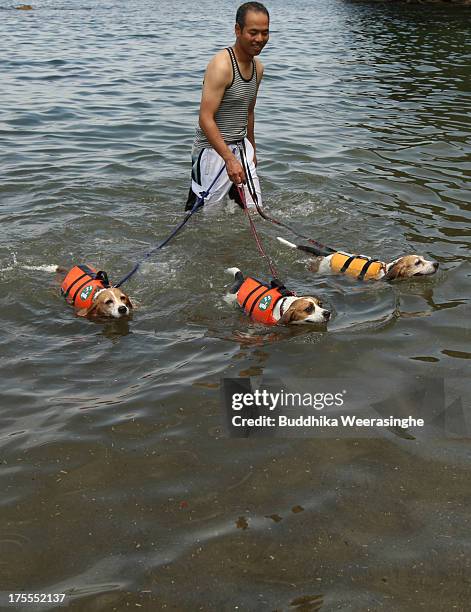 Man and his pet dog bathe in the water at Takeno Beach on August 4, 2013 in Toyooka, Japan. This beach is open for dogs and their owners every summer...