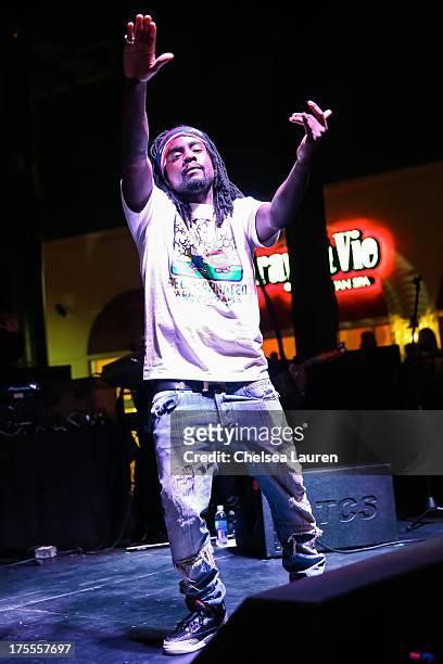 Rapper Wale performs during day 2 of Sunset Strip Music Festival on August 3, 2013 in West Hollywood, California.