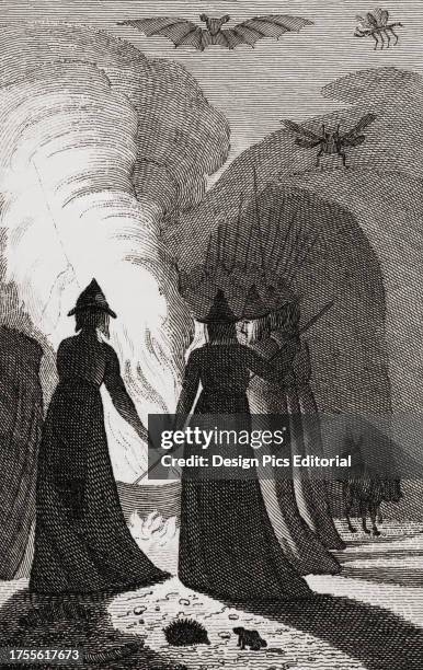 Coven of witches around a cauldron. Witches were said to prepare their secret potions in a cauldron. After a 19th century illustration an 1807...