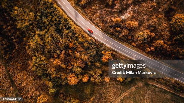 road through the forest - november landscape stock pictures, royalty-free photos & images