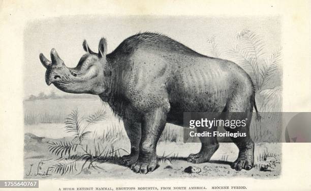 Brontops robustus, huge extinct mammal from North America, Miocene. Illustration by J. Smit from H. N. Hutchinson's "Extinct Monsters and Creatures...