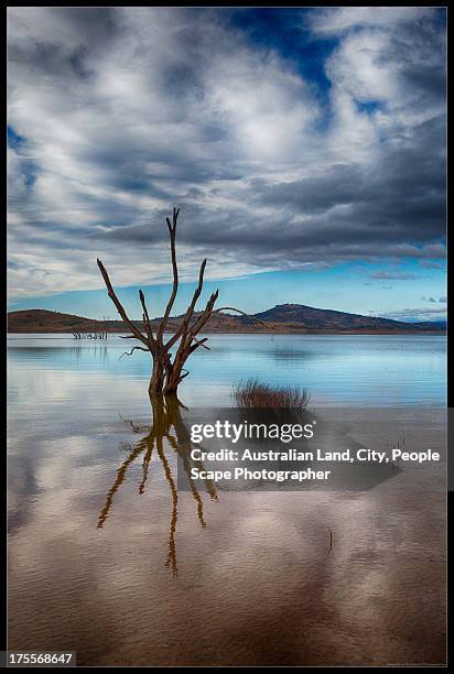 lake eucumbene, australian alps - australia city scape light stock pictures, royalty-free photos & images