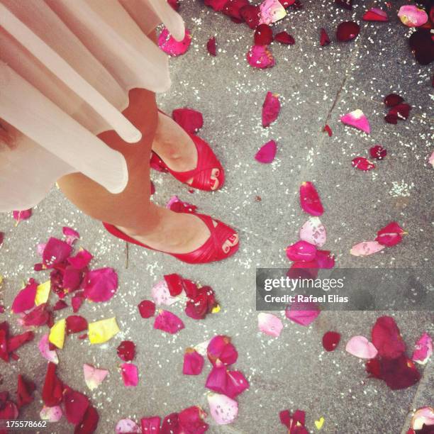 woman feet and rose petals on ground - wedding feet stock-fotos und bilder