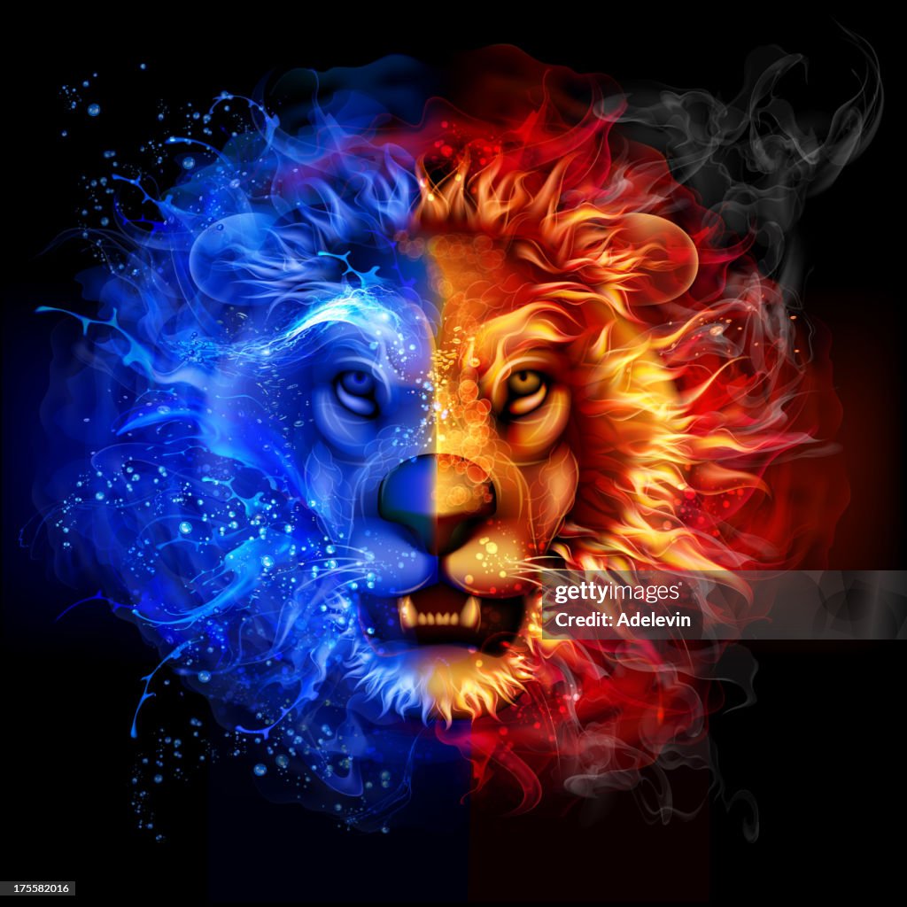 Lion du feu et l'eau