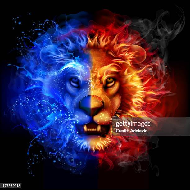 stockillustraties, clipart, cartoons en iconen met lion from fire and water - broken ruler