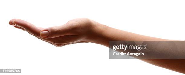 Hands Side Rear View Flat Hand Side View Photos and Premium High Res Pictures - Getty Images