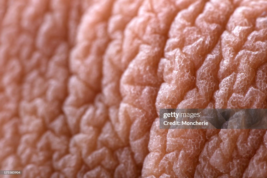 Extreme close up of human skin