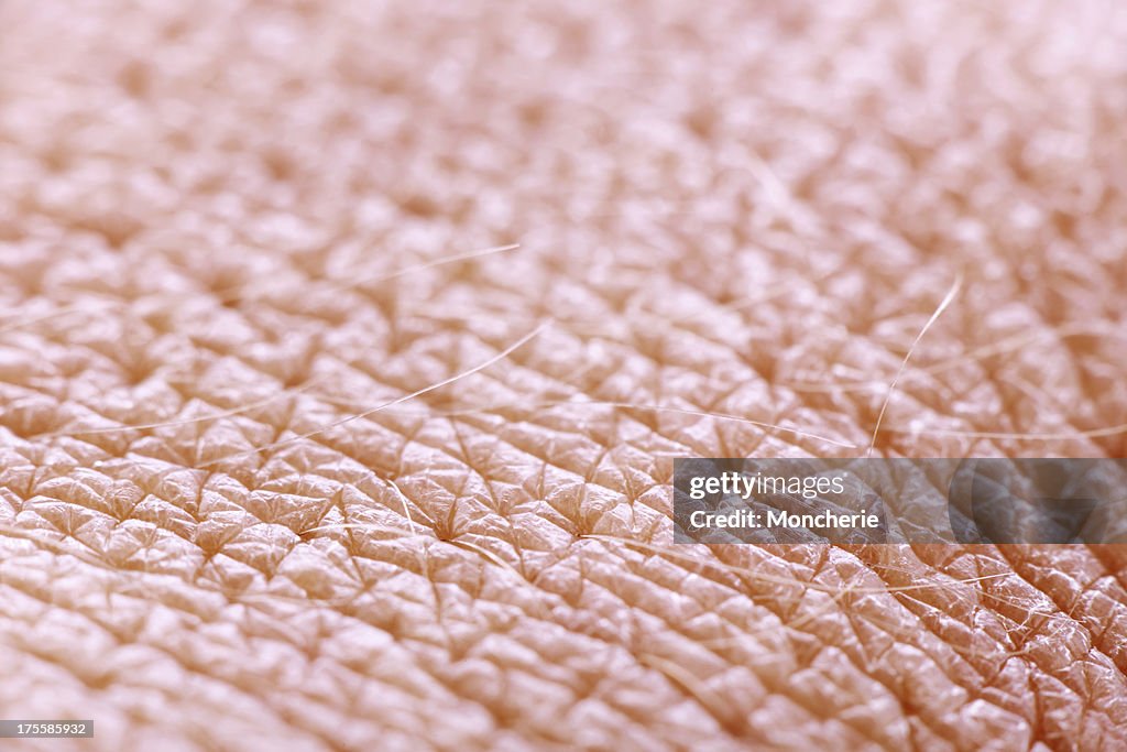 Extreme close up of human skin