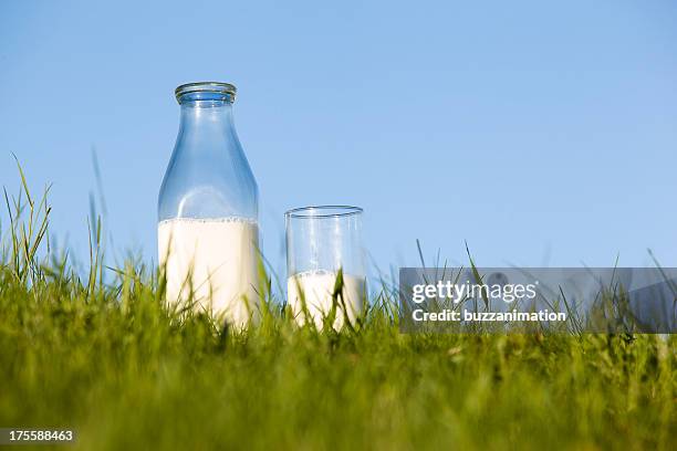 bouteille et un verre de lait dans l'herbe - bouteille de lait photos et images de collection