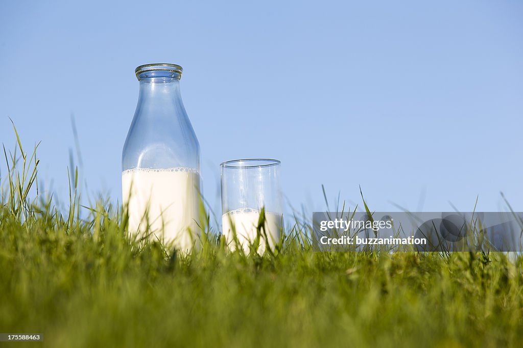 Bottiglia e un bicchiere di latte nell'erba