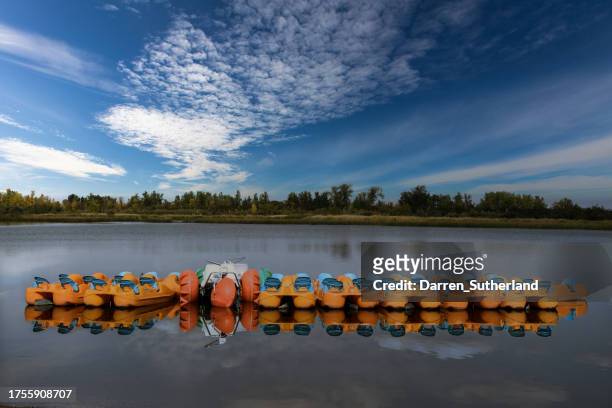 row of pedalo boats in a lake, alberta, canada - pedal boat stock pictures, royalty-free photos & images