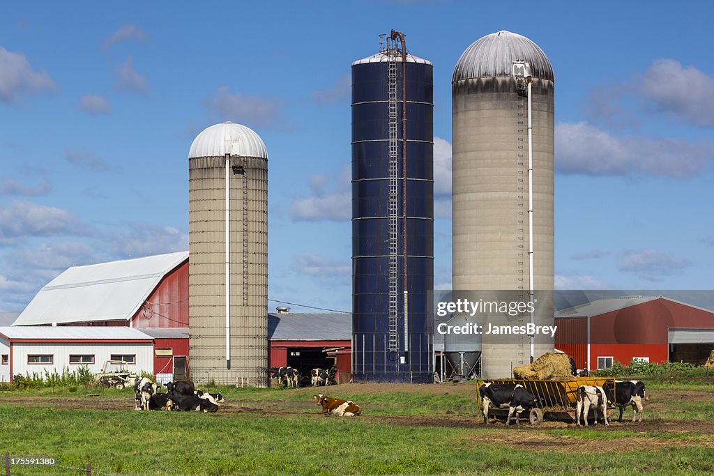 Wisconsin Dairy Farm With Cows