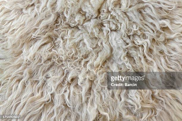 sheepskin - wool stock pictures, royalty-free photos & images