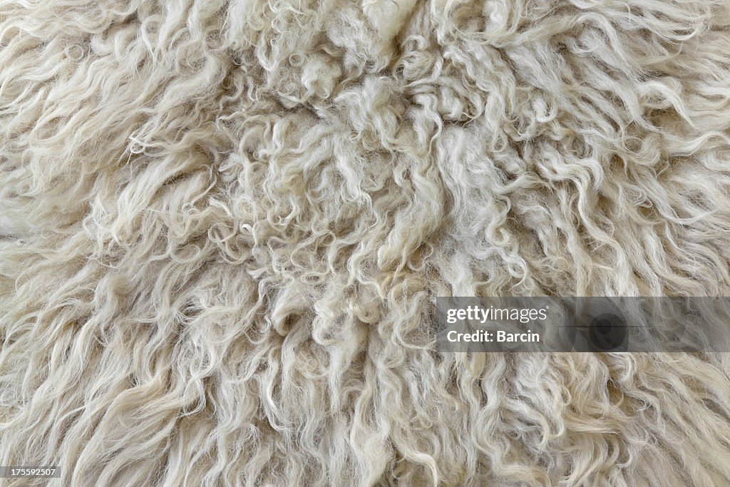 Sheepskin