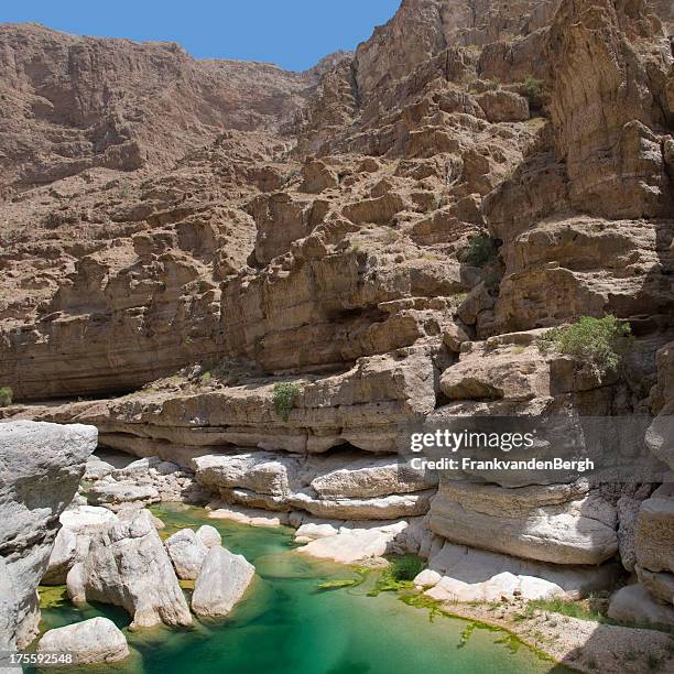 wadi - riverbed stock pictures, royalty-free photos & images