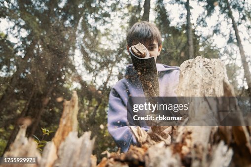 Boy breaking a rotten stump with an axe - flying wood chips and sawdust