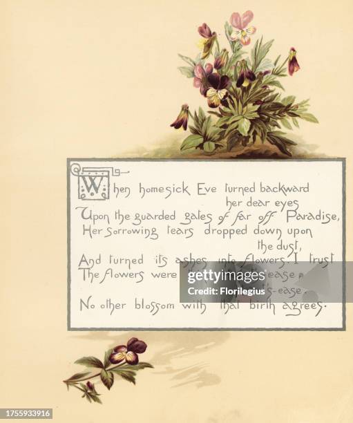 Heartsease, Viola tricolor, with calligraphic poem in box. Chromolithograph by Louis Prang from Alice Ward Bailey's Flower Fancies, Boston, 1889....