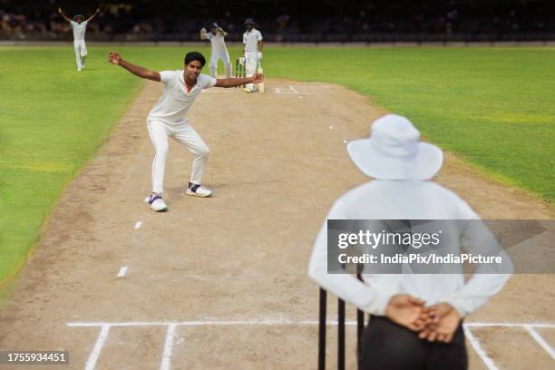 a bowler and the team appeals to umpire for out during a cricket match - dismissal cricket stock-fotos und bilder