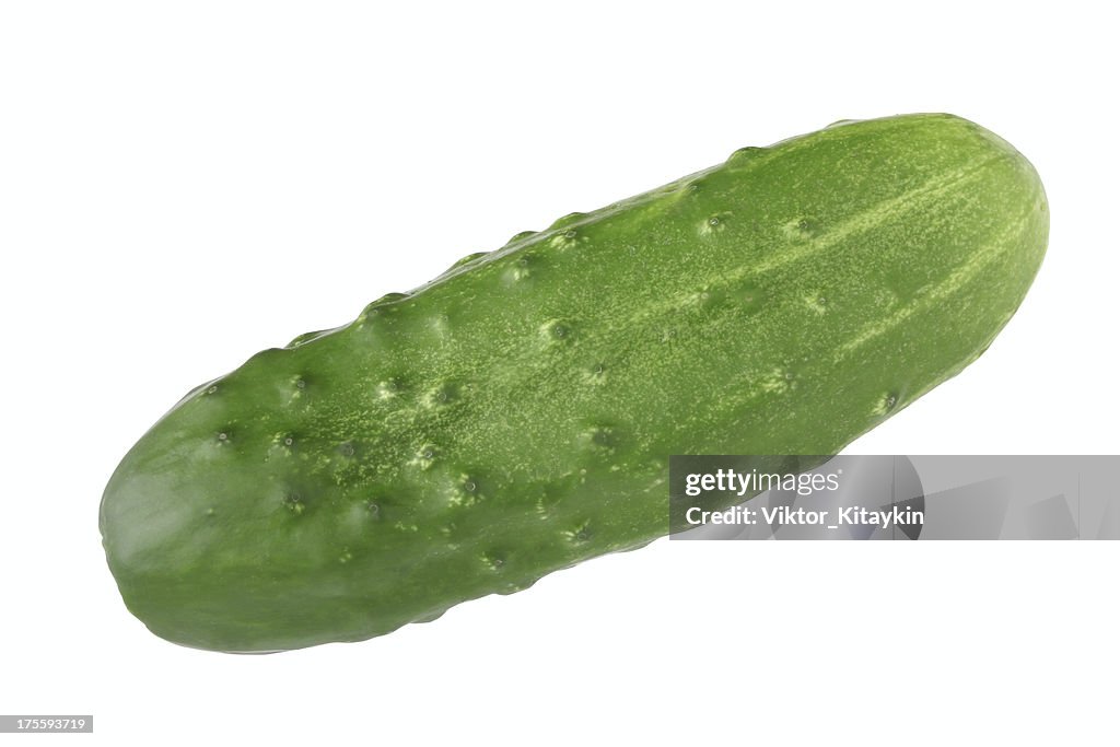 Cucumber