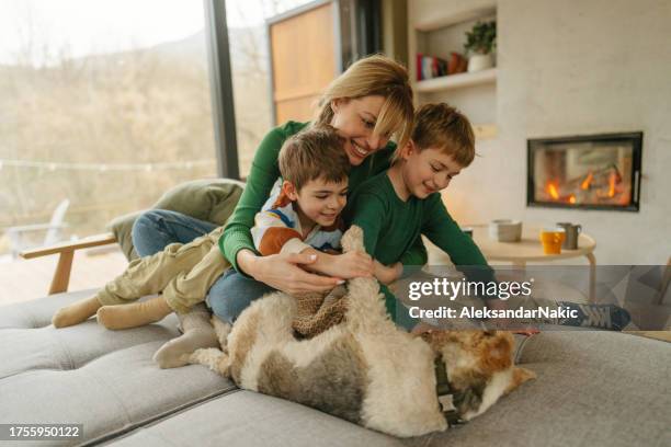 cozy afternoon in our home - cozy home interior stock pictures, royalty-free photos & images