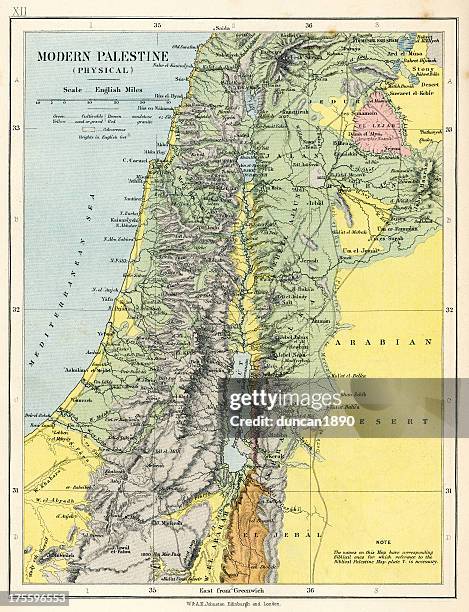 map of palestine - dead sea stock illustrations