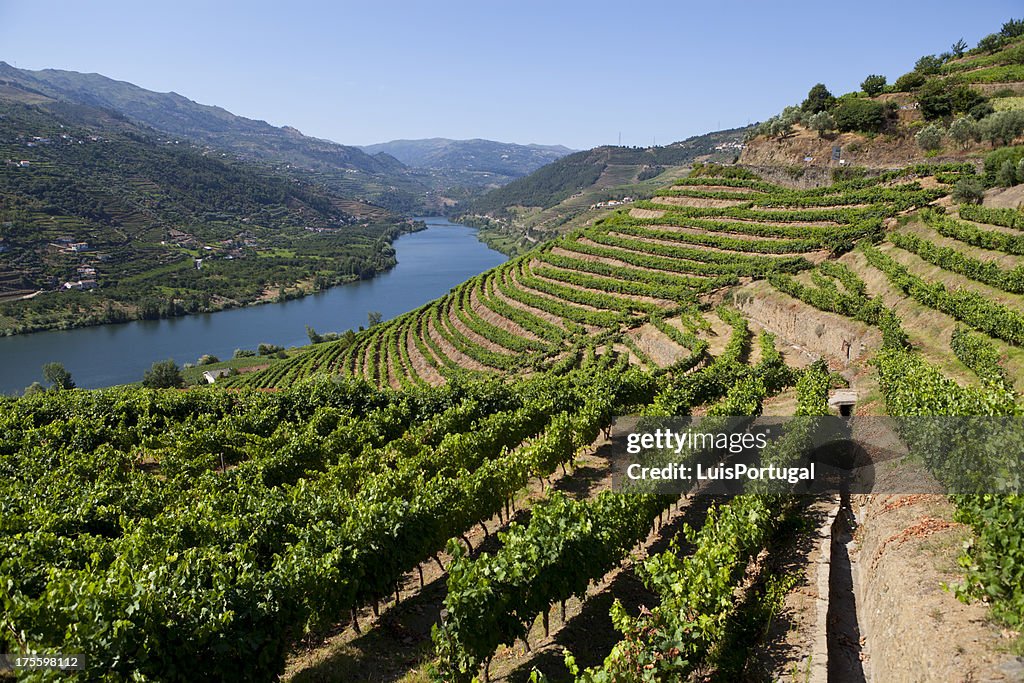 Douro Valley