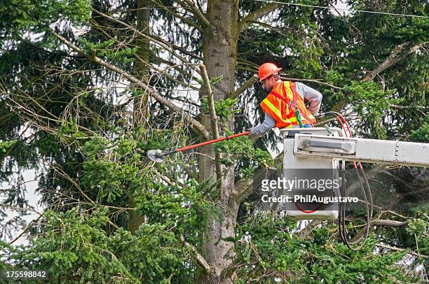 contract worker trimming tree branches away from power lines - man cutting wire stockfoto's en -beelden