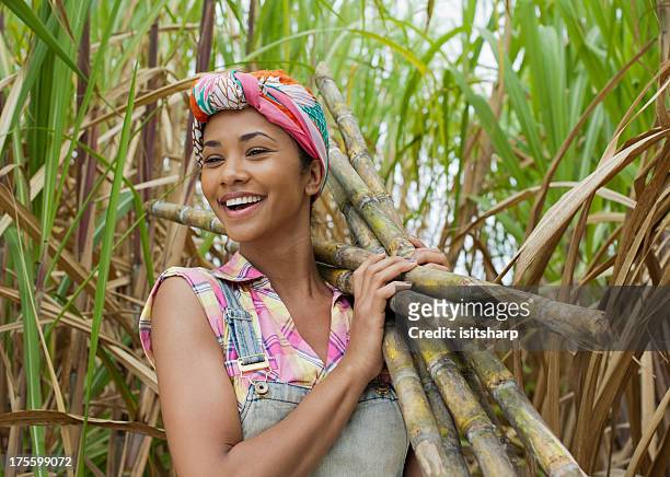 portrait of a sugar cane worker - sugar cane stock pictures, royalty-free photos & images