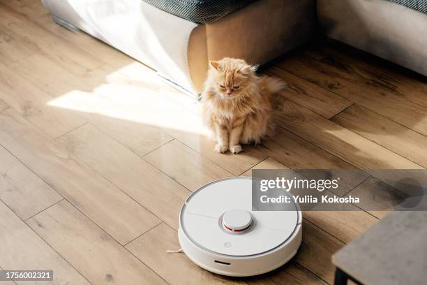 cat and robot vacuum cleaner - robot vacuum stock pictures, royalty-free photos & images