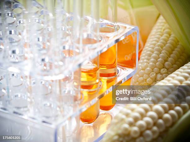 biofuel or corn syrup - biofuel stock pictures, royalty-free photos & images