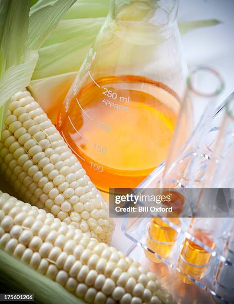 biofuel or corn syrup - corn syrup stock pictures, royalty-free photos & images