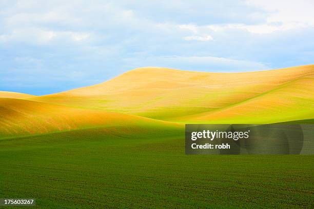 eastern washington landscape - eastern washington state stock pictures, royalty-free photos & images