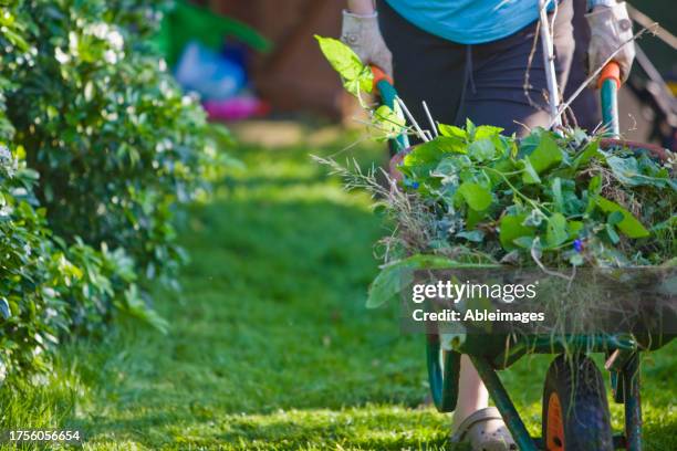 close up of a gardener hands pushing a wheelbarrow filled with weeds - taking off gloves stock pictures, royalty-free photos & images