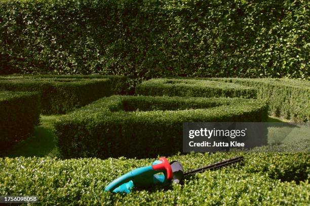 electric hedge trimmer on boxwood bush - hedge clippers stock pictures, royalty-free photos & images
