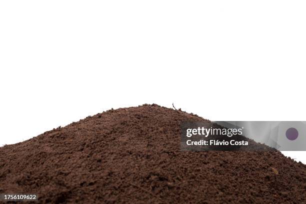 mound of sand - planta stock pictures, royalty-free photos & images